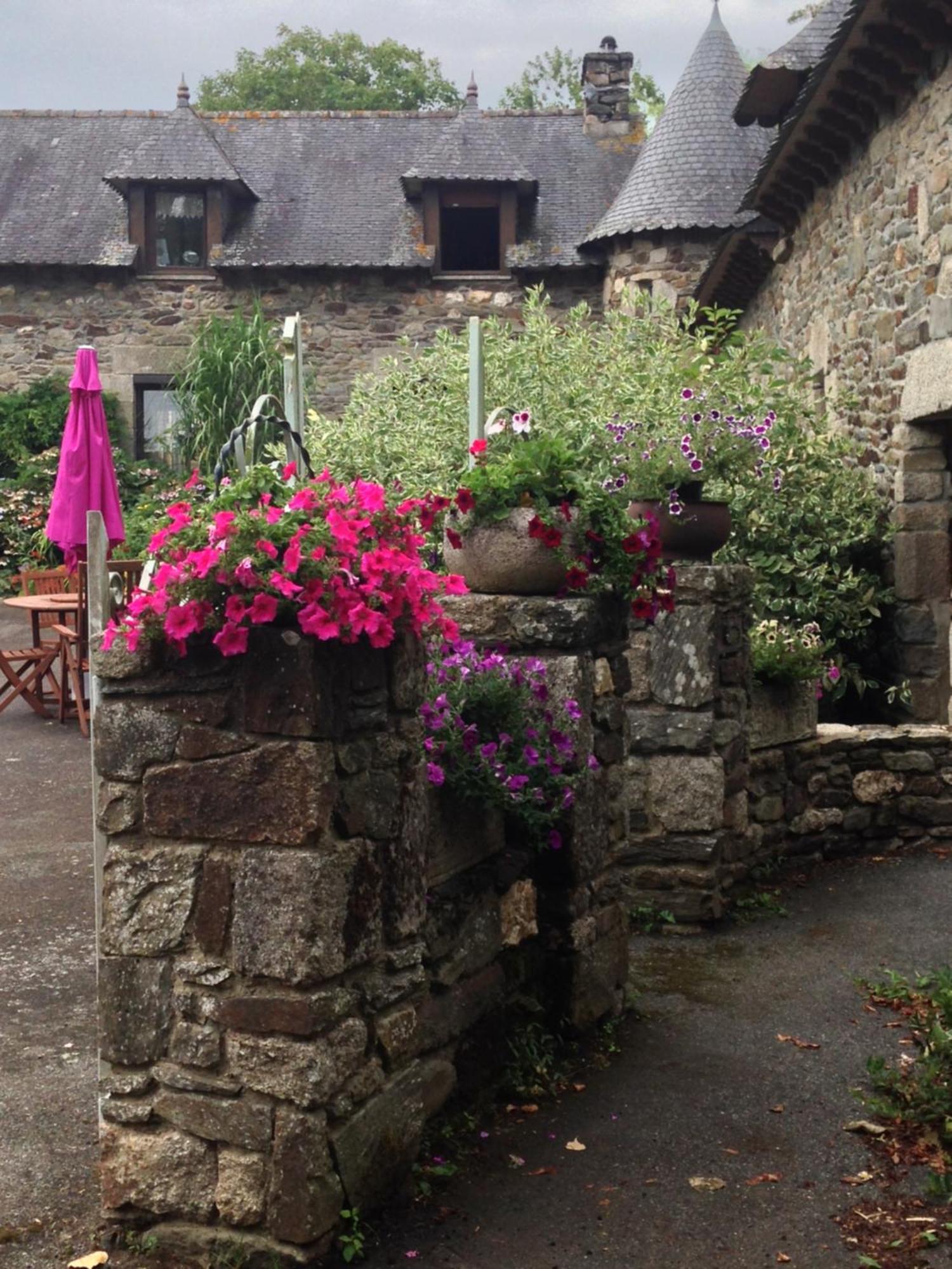 Noyal-Pontivy Le Petit Chateau, Matisse מראה חיצוני תמונה