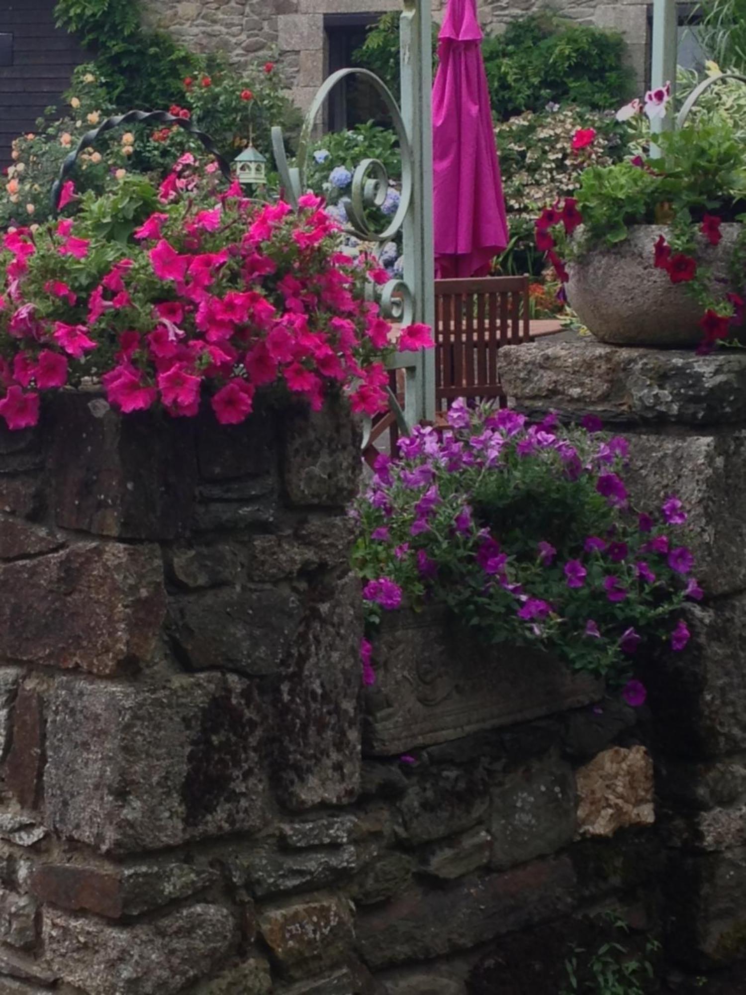 Noyal-Pontivy Le Petit Chateau, Matisse מראה חיצוני תמונה