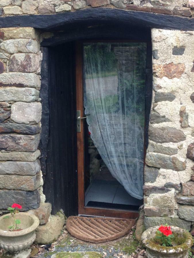 Noyal-Pontivy Le Petit Chateau, Matisse מראה חיצוני תמונה